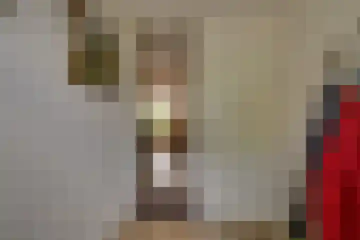 Wilgenhove 29 Kwintsheul thumbnail 22