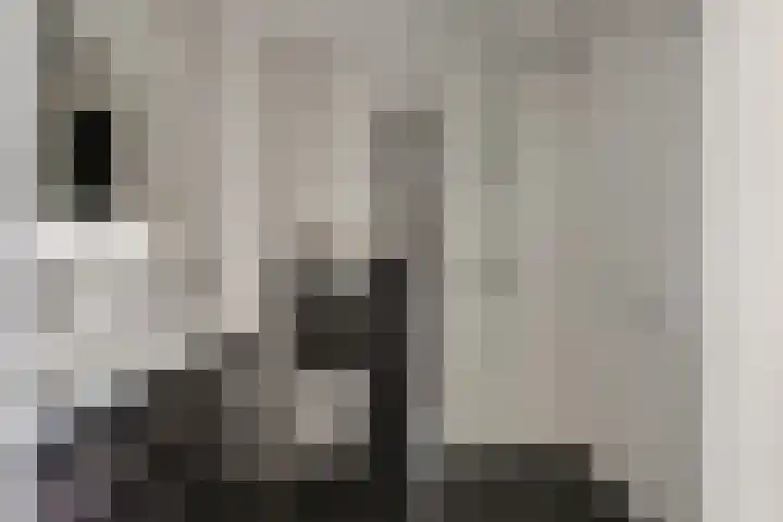 Wilgenhove 29 Kwintsheul thumbnail 27