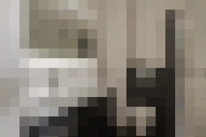 Wilgenhove 29 Kwintsheul thumbnail 28