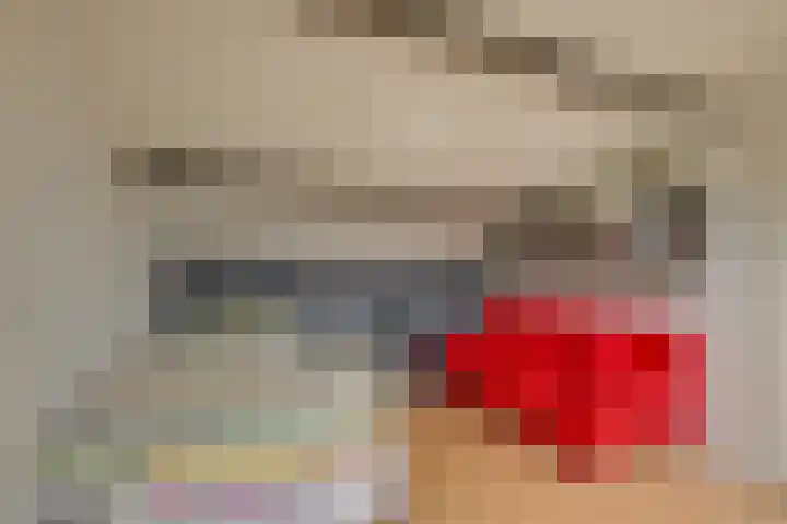 Wilgenhove 29 Kwintsheul thumbnail 32