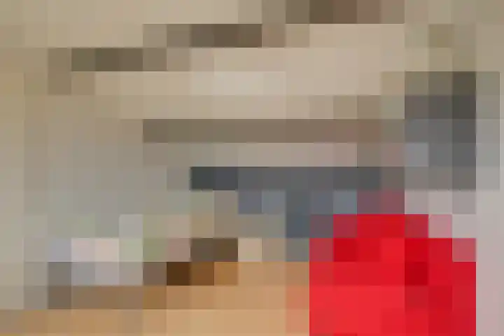 Wilgenhove 29 Kwintsheul thumbnail 33