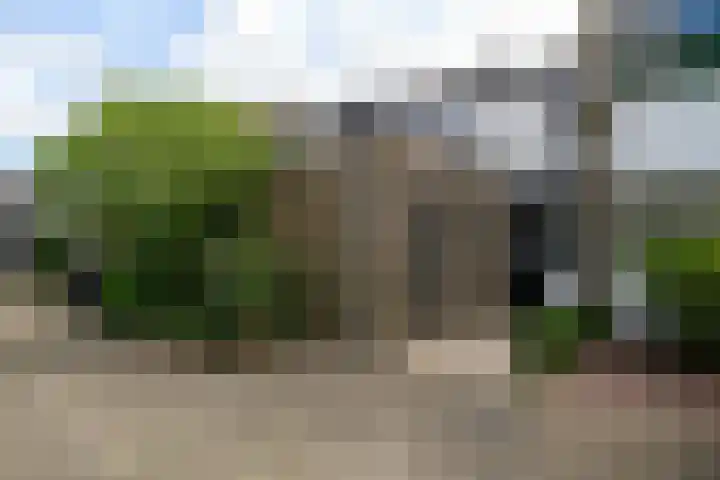 Wilgenhove 29 Kwintsheul thumbnail 4