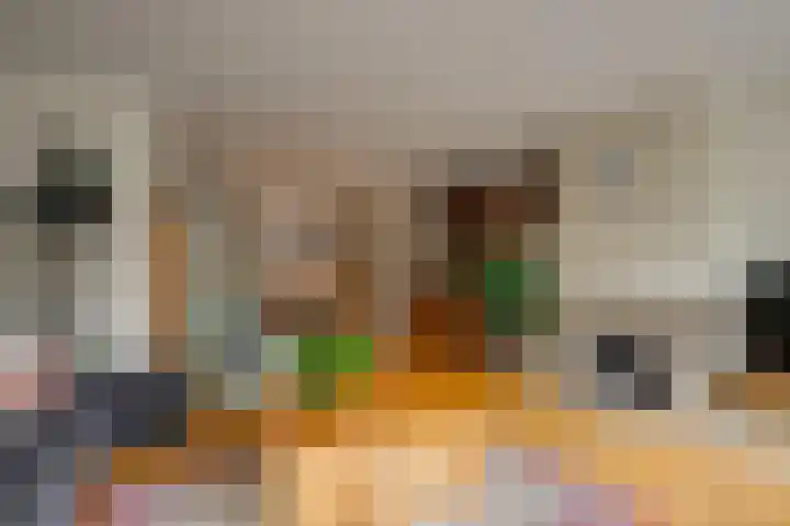 Wilgenhove 29 Kwintsheul thumbnail 6