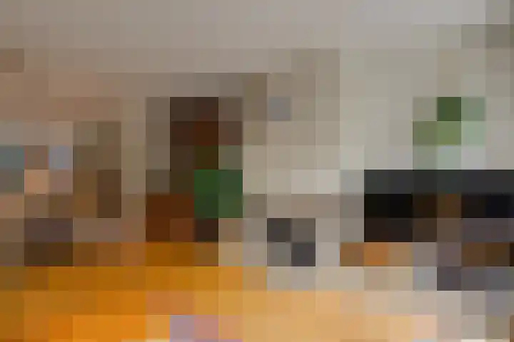 Wilgenhove 29 Kwintsheul thumbnail 7