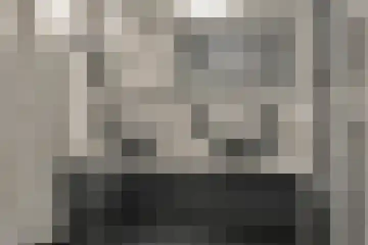 Wilgenhoven 19 Rhoon thumbnail 17