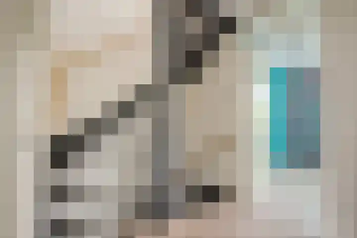 Wilgenhoven 28 Rhoon thumbnail 22
