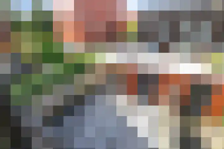Wilgenhoven 28 Rhoon thumbnail 25