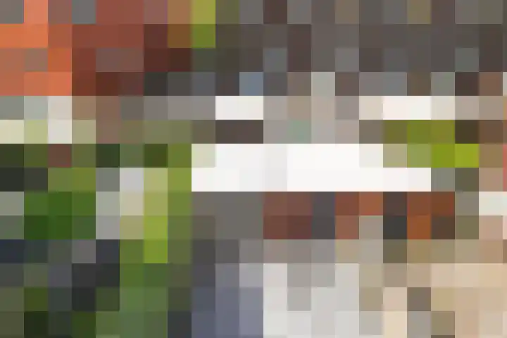 Wilgenhoven 28 Rhoon thumbnail 26