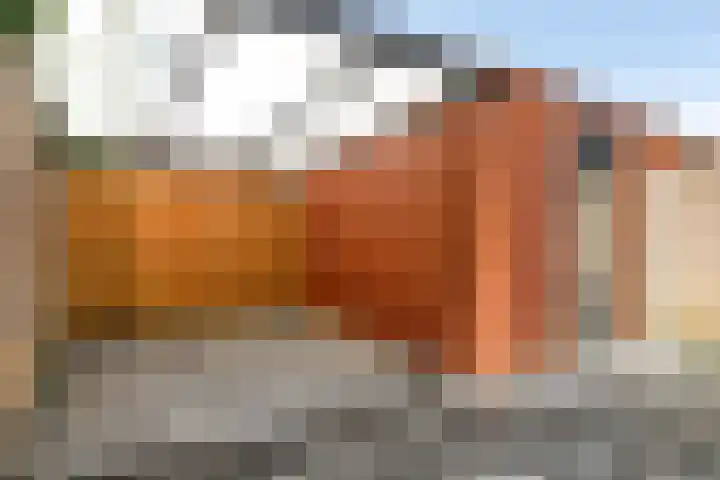 Wilgenhoven 28 Rhoon thumbnail 28