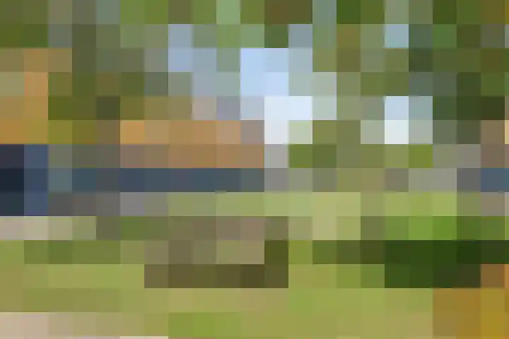 Wilgenhoven 28 Rhoon thumbnail 30