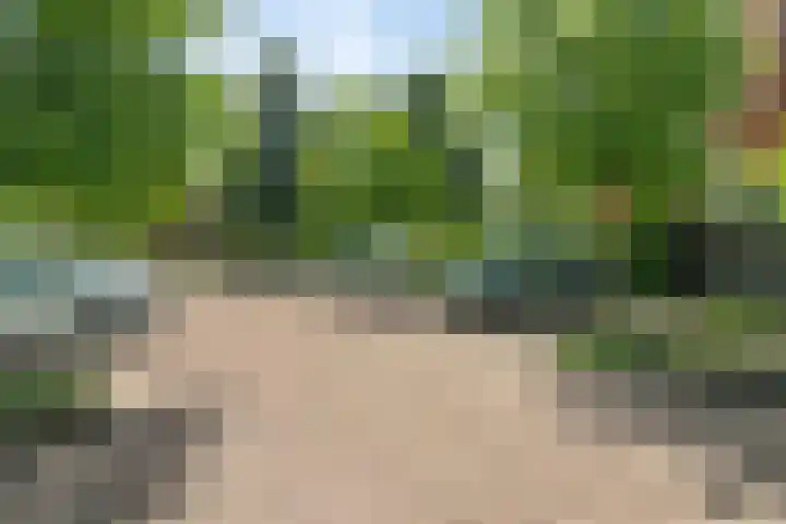 Wilgenhoven 28 Rhoon thumbnail 31