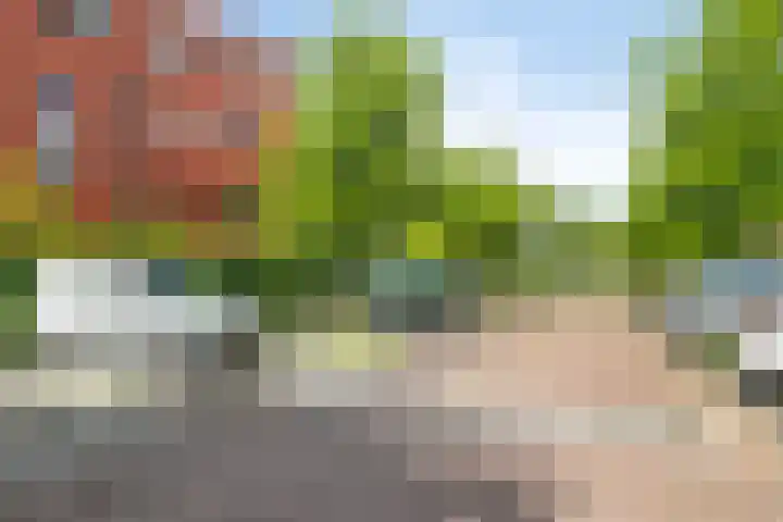 Wilgenhoven 28 Rhoon thumbnail 32
