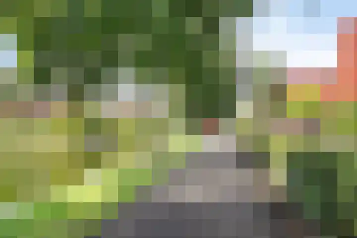 Wilgenhoven 28 Rhoon thumbnail 33