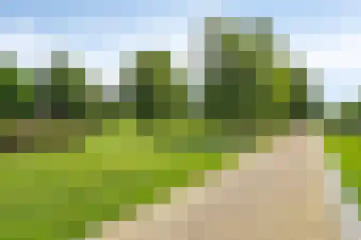Wilgenhoven 28 Rhoon thumbnail 35