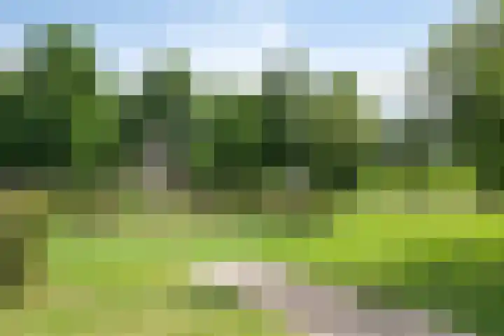 Wilgenhoven 28 Rhoon thumbnail 36