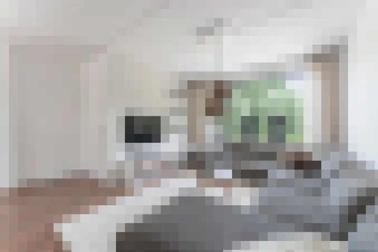 Wilgenkade 1 Enkhuizen thumbnail 21