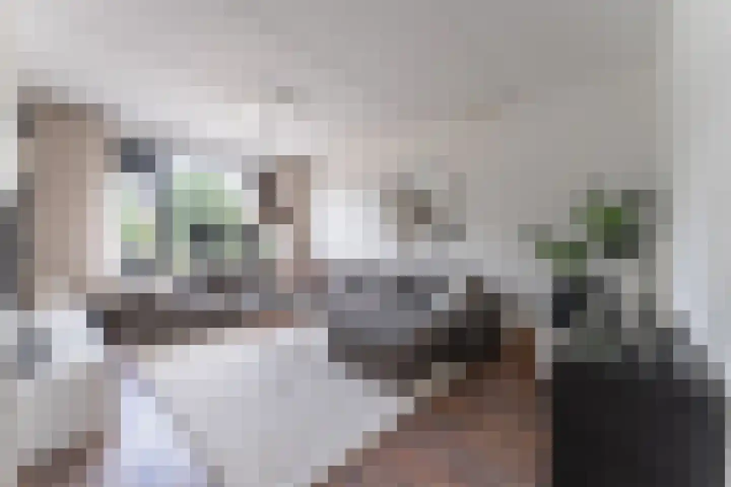 Wilgenkade 1 Enkhuizen thumbnail 4