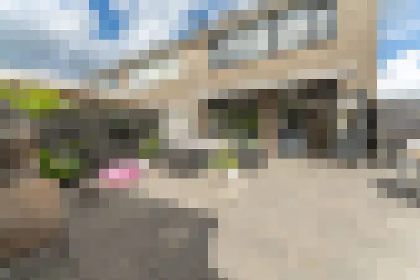 Wilgenkade 1 Enkhuizen thumbnail 42