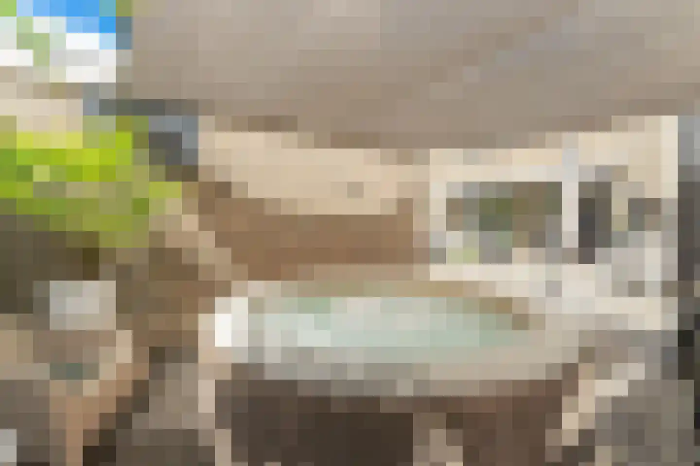 Wilgenkade 1 Enkhuizen thumbnail 6