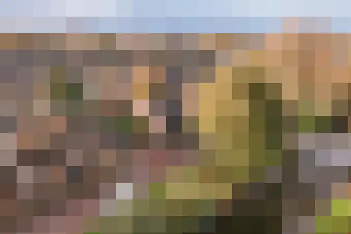 Wilgenkade 10 Enkhuizen thumbnail 5