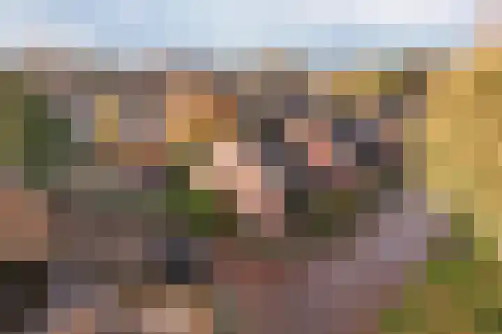 Wilgenkade 10 Enkhuizen thumbnail 7