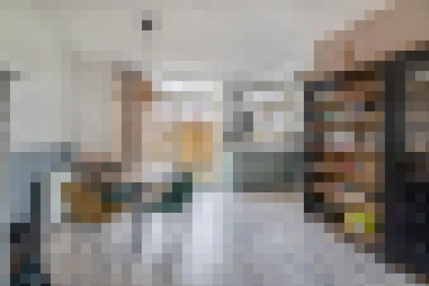 Wilgenkade 14 Wormerveer thumbnail 11
