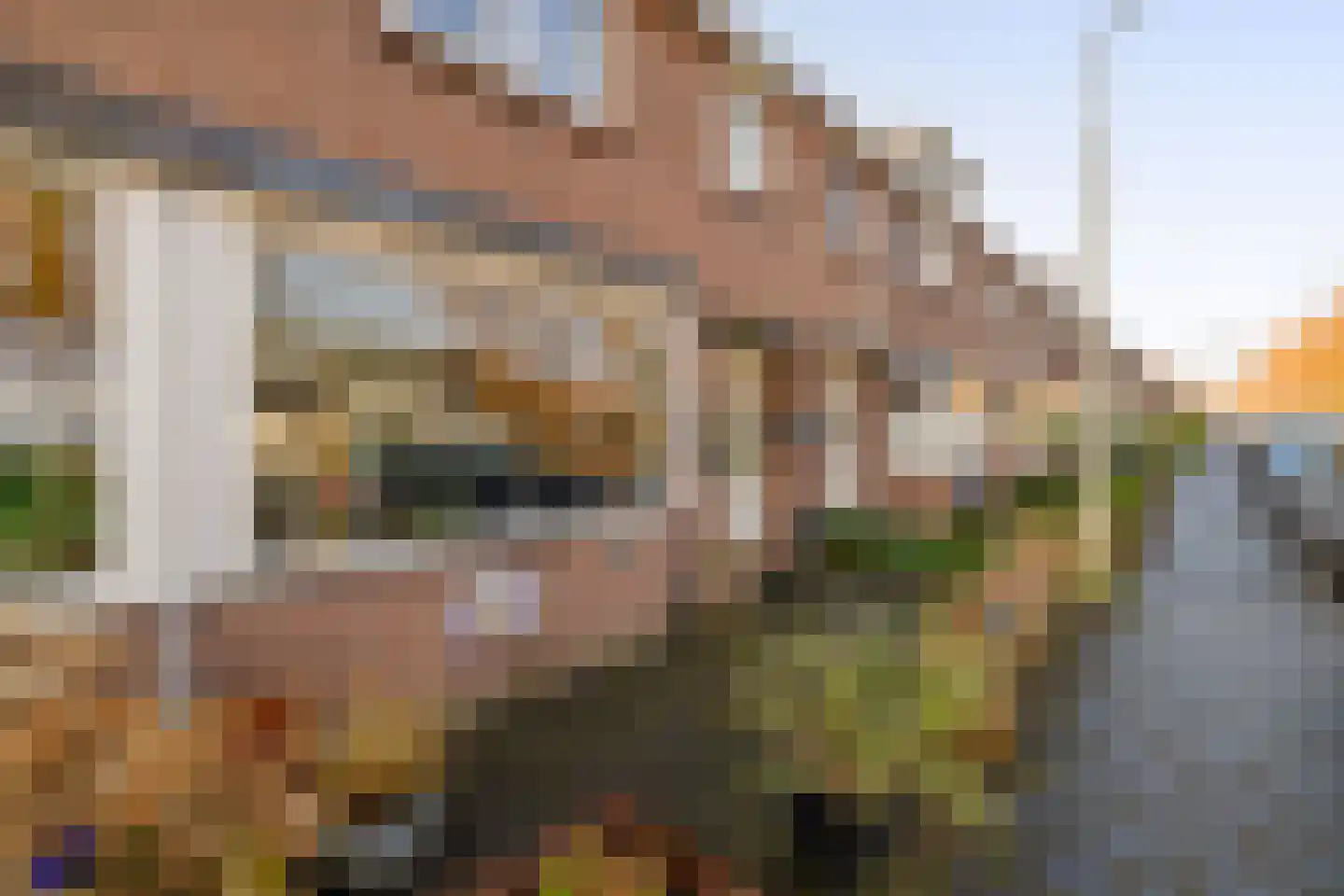 Wilgenkade 14 Wormerveer thumbnail 5