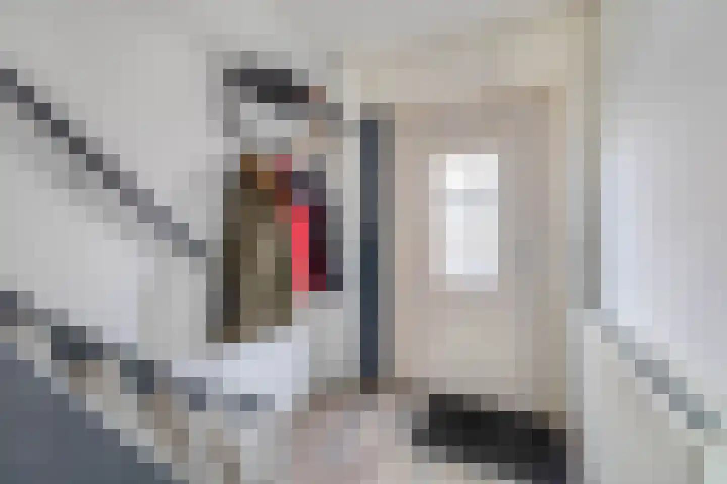 Wilgenkade 14 Wormerveer thumbnail 7