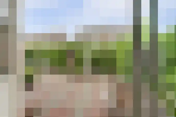 Wilgenkade 15 Enkhuizen thumbnail 32