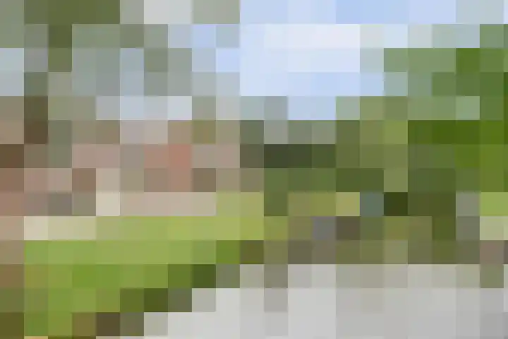 Wilgenkade 15 Enkhuizen thumbnail 4