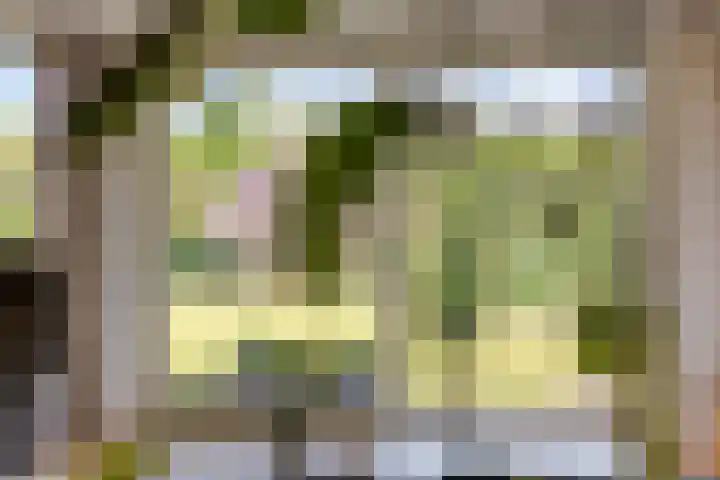 Wilgenkamp 12 Losser thumbnail 19