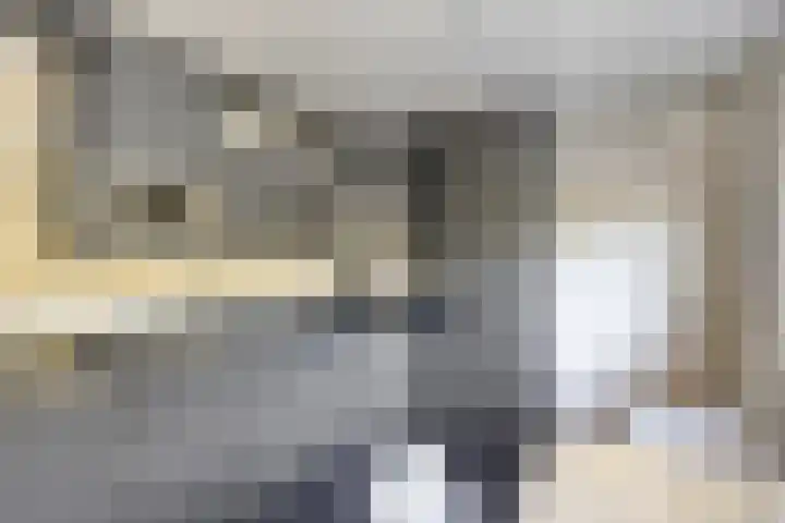 Wilgenkamp 12 Losser thumbnail 27