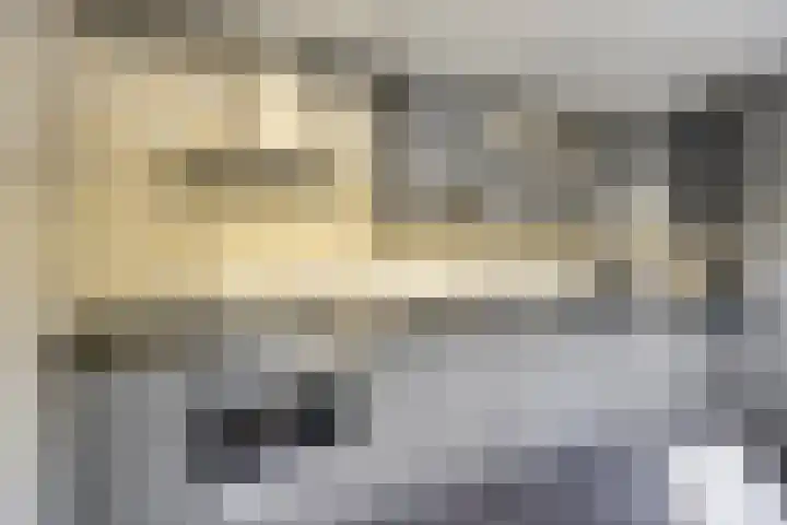 Wilgenkamp 12 Losser thumbnail 29
