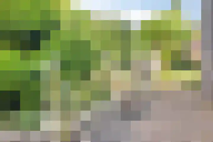 Wilgenkamp 12 Losser thumbnail 48