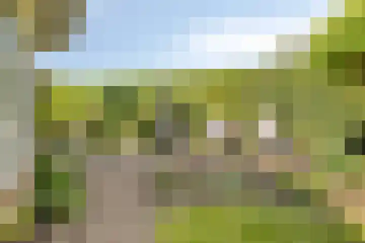 Wilgenkamp 12 Losser thumbnail 50