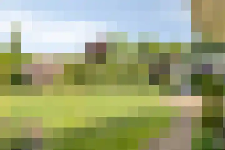 Wilgenkamp 12 Losser thumbnail 52