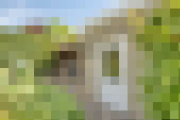 Wilgenkamp 12 Losser thumbnail 55