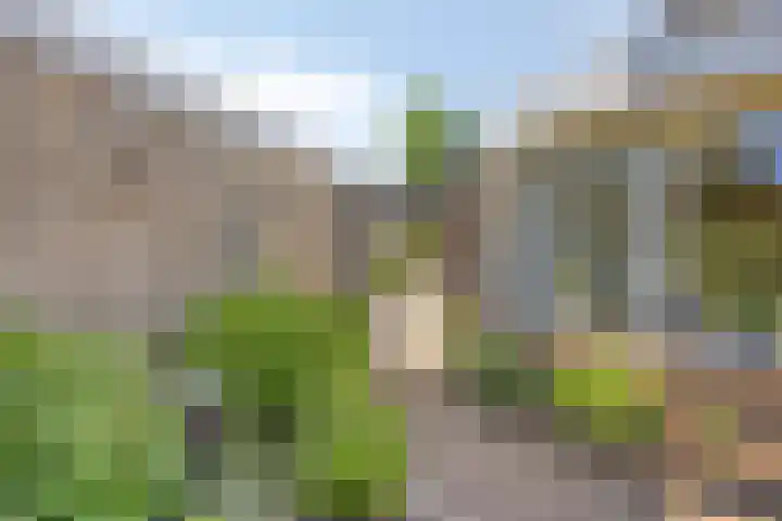 Wilgenkamp 12 Losser thumbnail 57