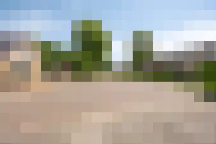 Wilgenkamp 12 Losser thumbnail 58