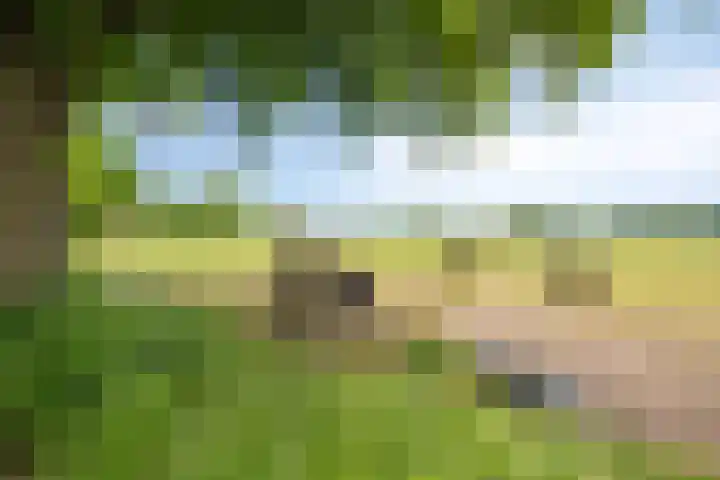 Wilgenkamp 12 Losser thumbnail 59