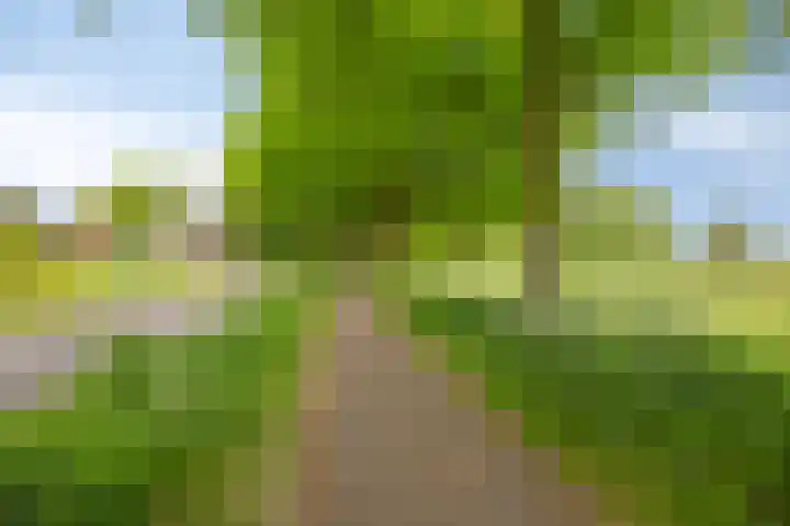 Wilgenkamp 12 Losser thumbnail 60