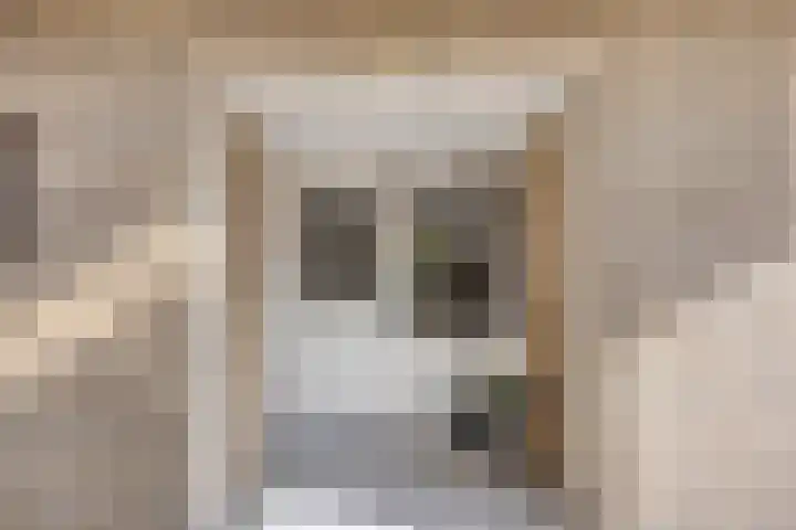 Wilgenkamp 12 Losser thumbnail 8