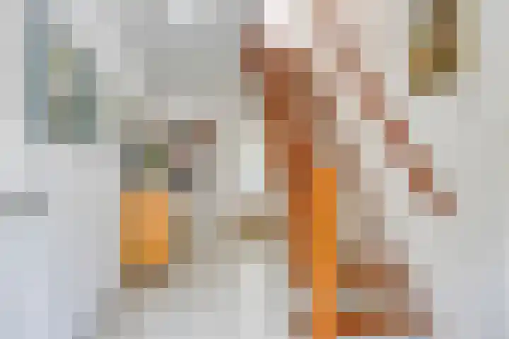 Wilgenkamp 12 Losser thumbnail 9