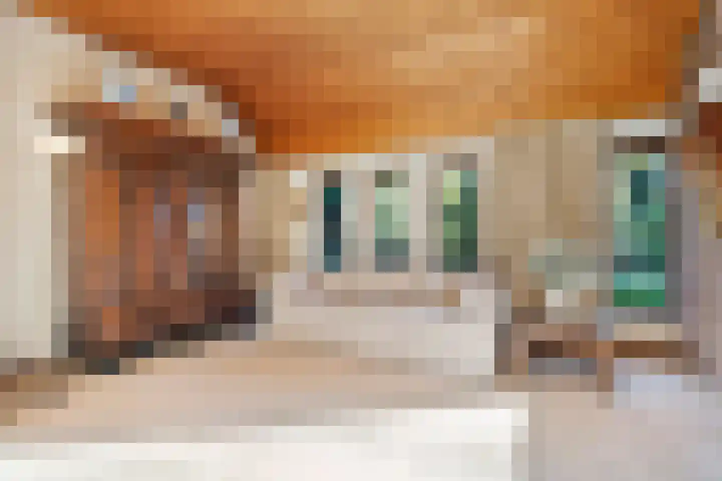 Wilgenkamp 46 Losser thumbnail 14