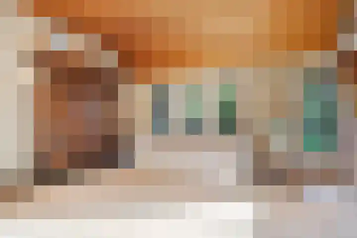 Wilgenkamp 46 Losser thumbnail 14