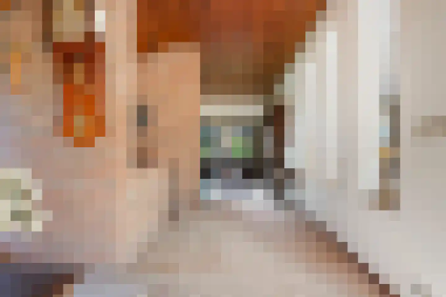 Wilgenkamp 46 Losser thumbnail 15