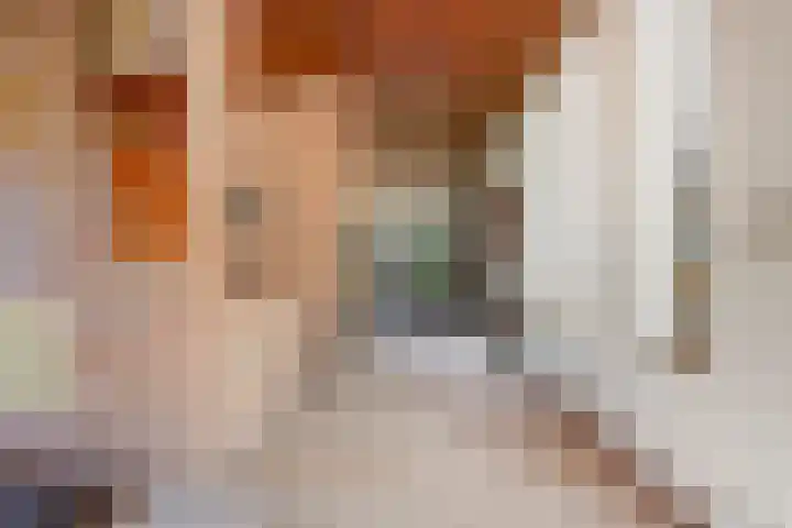 Wilgenkamp 46 Losser thumbnail 15