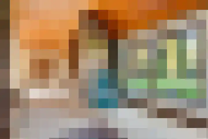 Wilgenkamp 46 Losser thumbnail 16