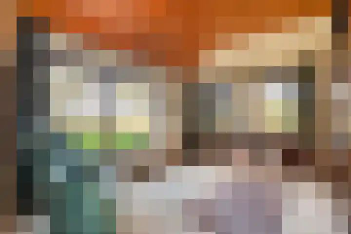 Wilgenkamp 46 Losser thumbnail 17
