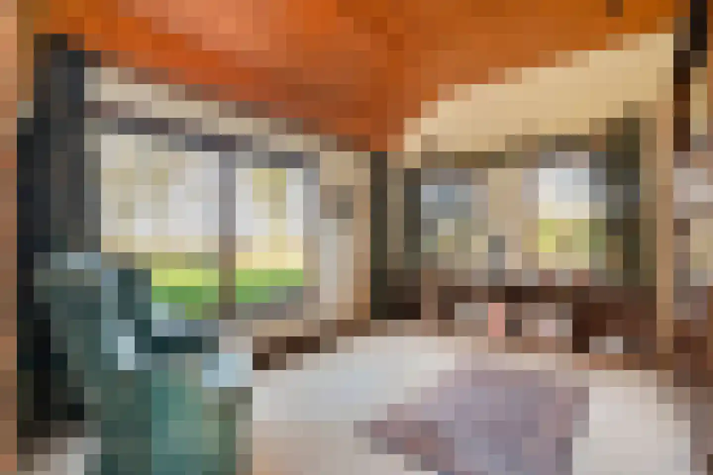 Wilgenkamp 46 Losser thumbnail 17